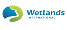 WETLANDS